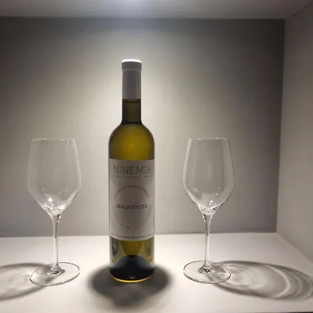 Ninemia Naxos Lägenhet *